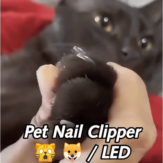 LED Nail Clipper for Pets β Safe & Easy Trimming