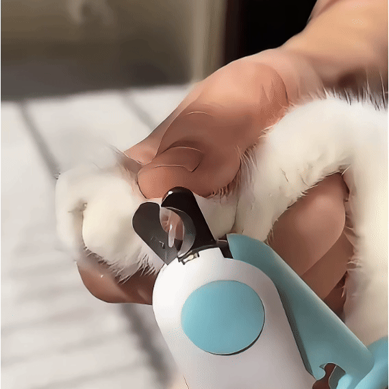 LED Nail Clipper for Pets β Safe & Easy Trimming