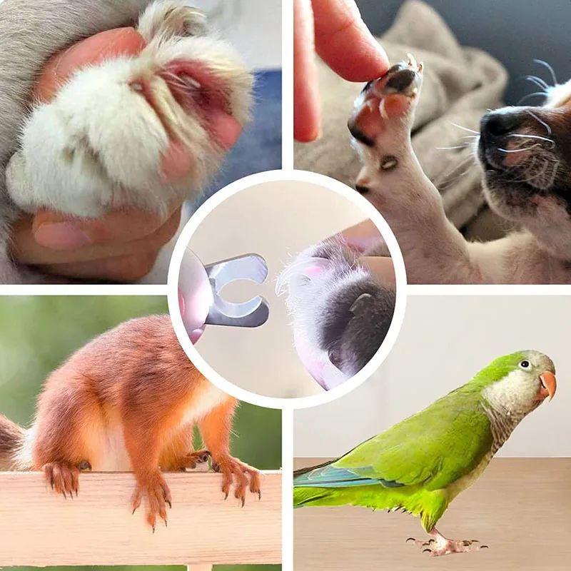 LED Nail Clipper for Pets β Safe & Easy Trimming