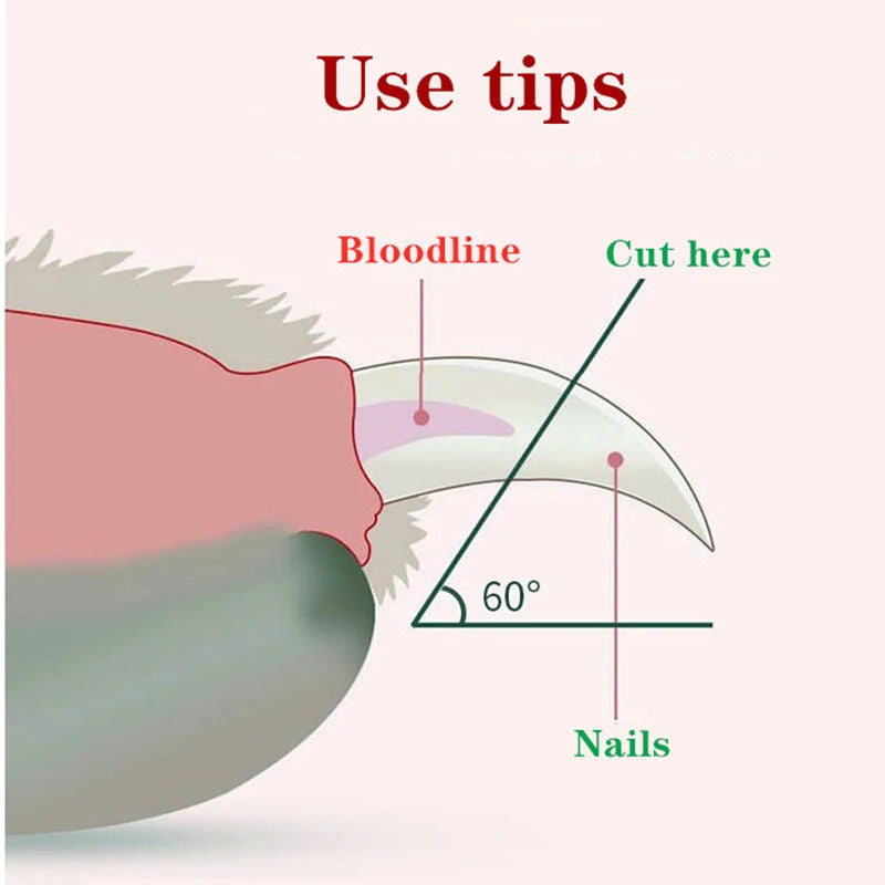 LED Nail Clipper for Pets β Safe & Easy Trimming